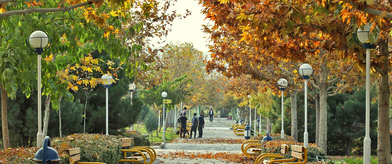 Mashhad Travel