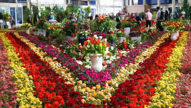 Flower Festival in Shiraz ()