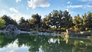 باغ النباتات في مشهد