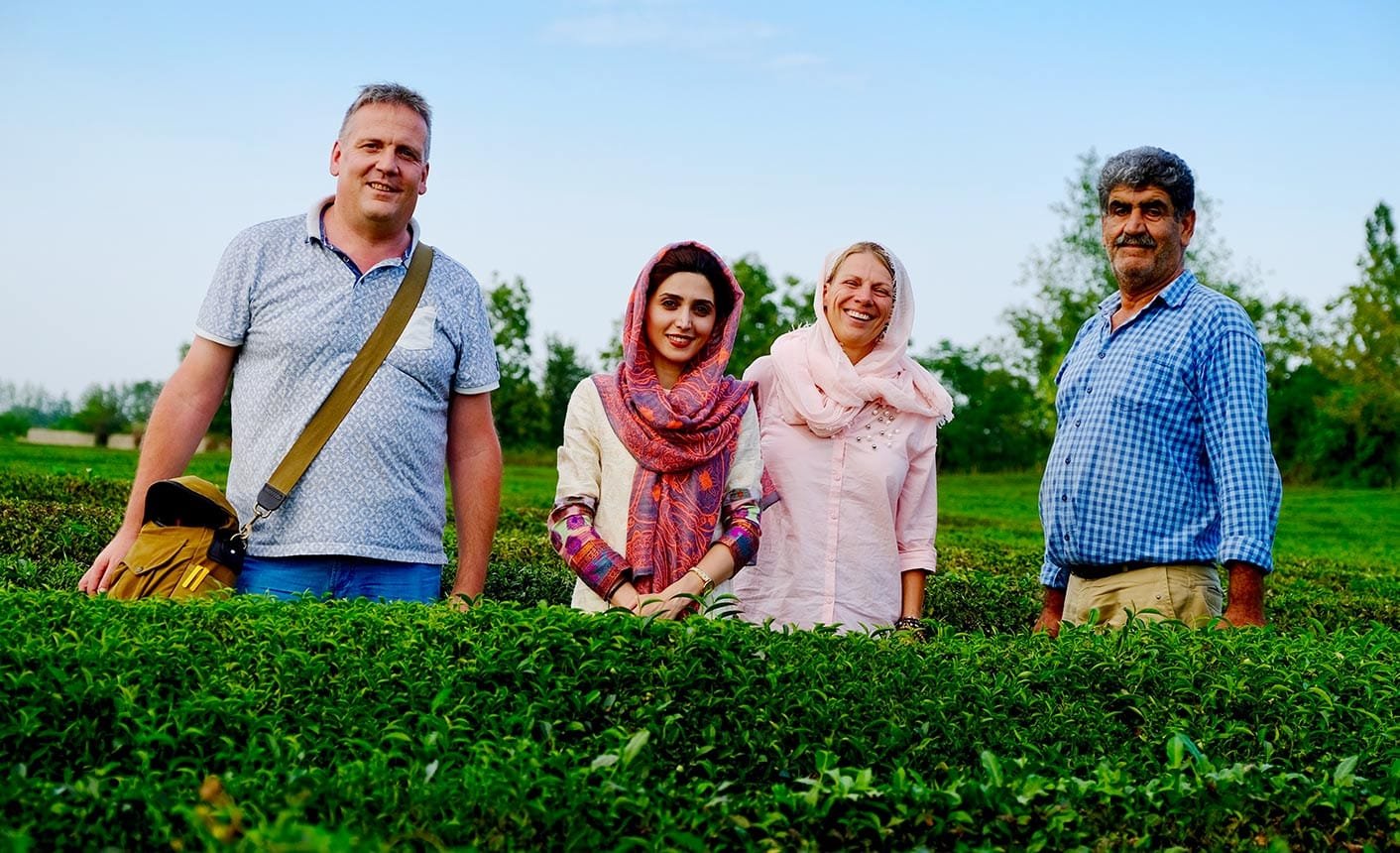 Tea Tour In Iran - Experience Iranian Tea In The North Of Iran