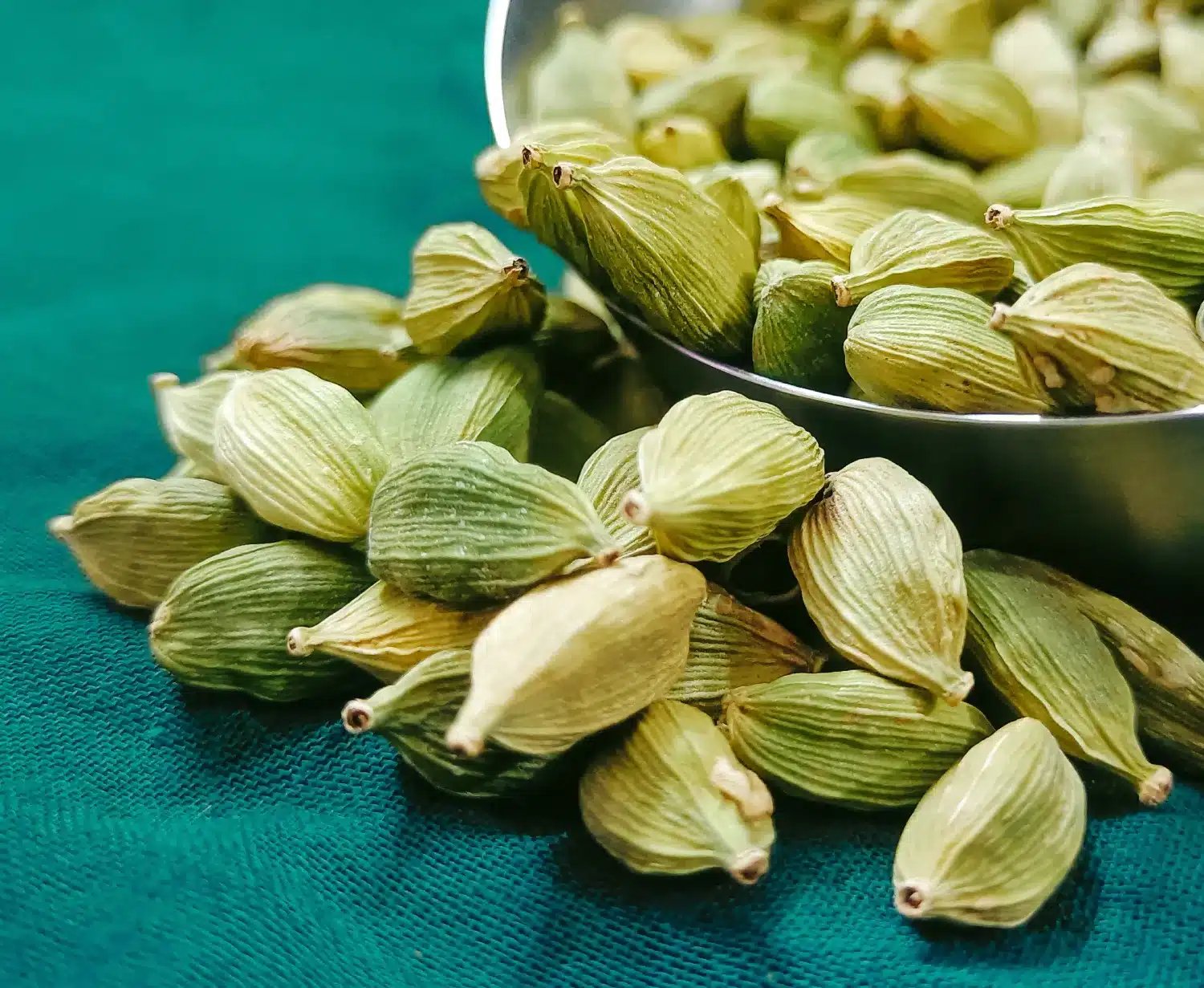 Cardamom Cardamom