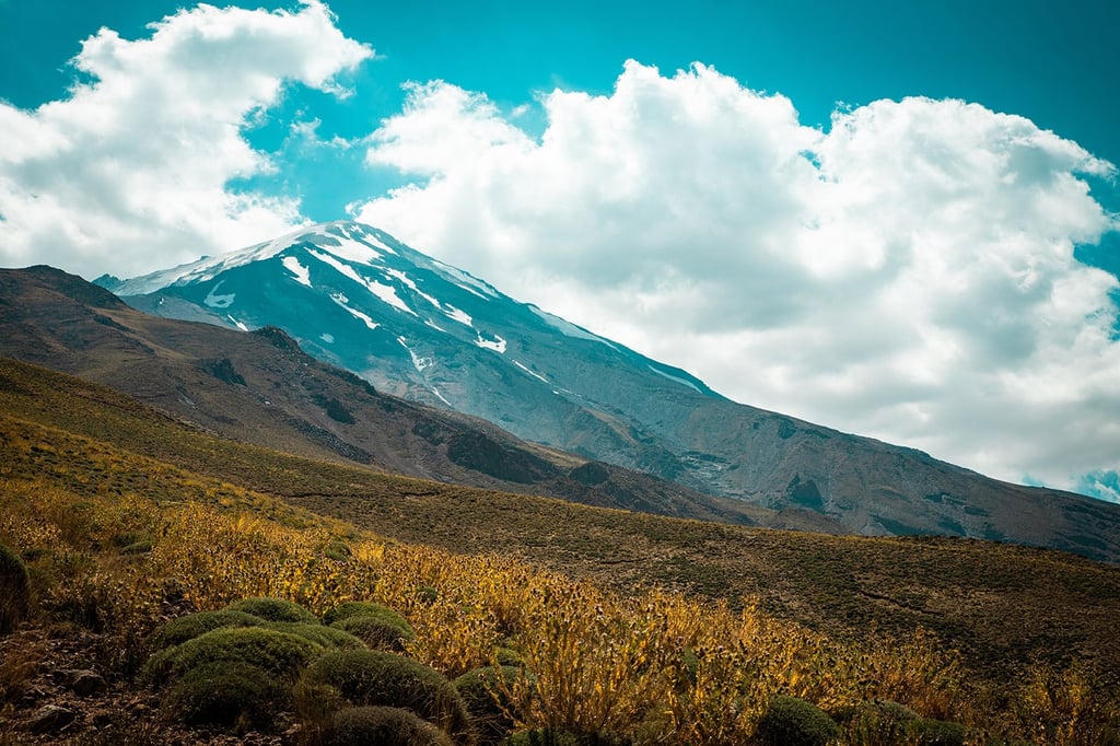 Flora And Fauna In Mountains, Iran