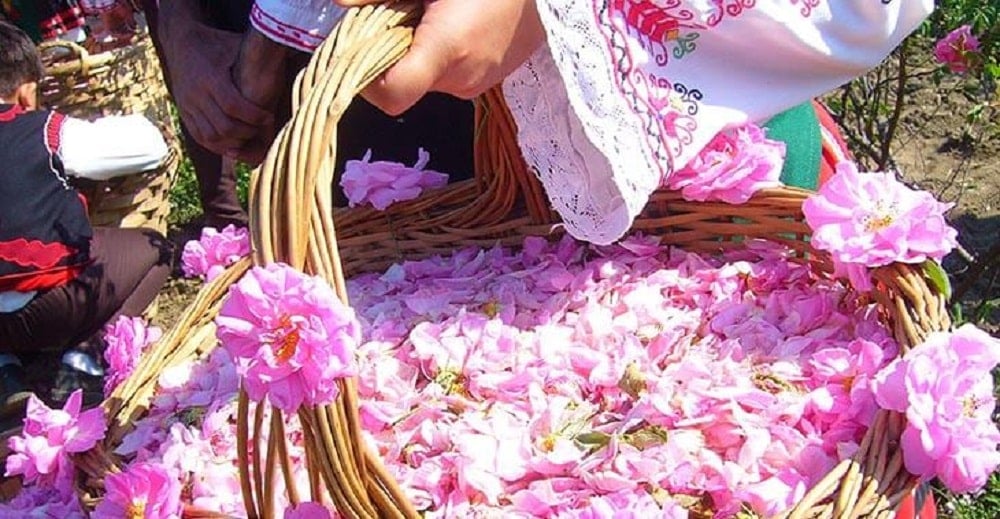 Golabgiri Kashan, Golab Giri