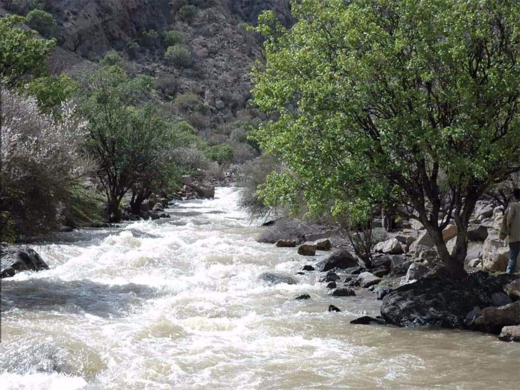 Bakhtgan National Park By Tripadvisor Bakhtgan National Park