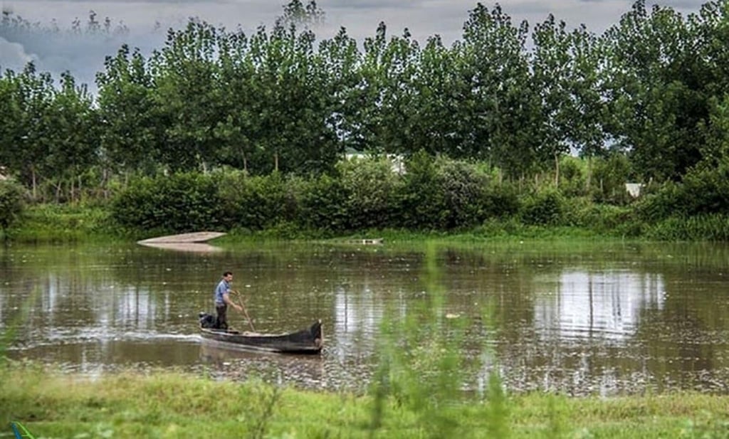 Bujagh National Park By Rokna Bujagh National Park