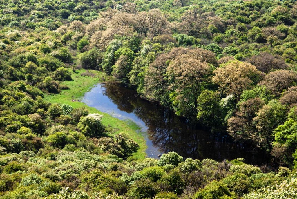 Golestan National Park By Visit Iran Golestan National Park