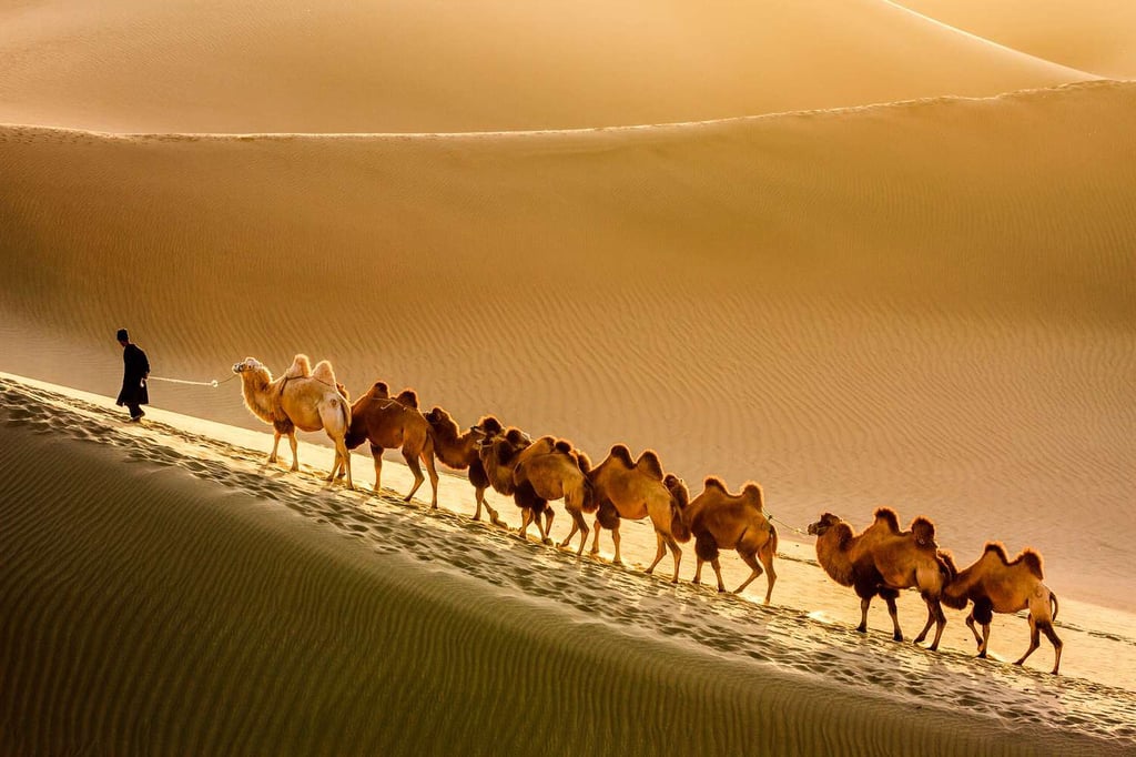 Passing Trough Silk Road