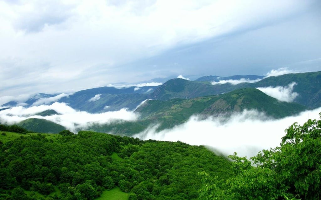 Arasbaran Jungle Iran By Wikipedia Arasbaran Jungle, Iran