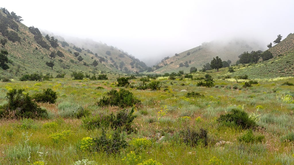 Golestan Park