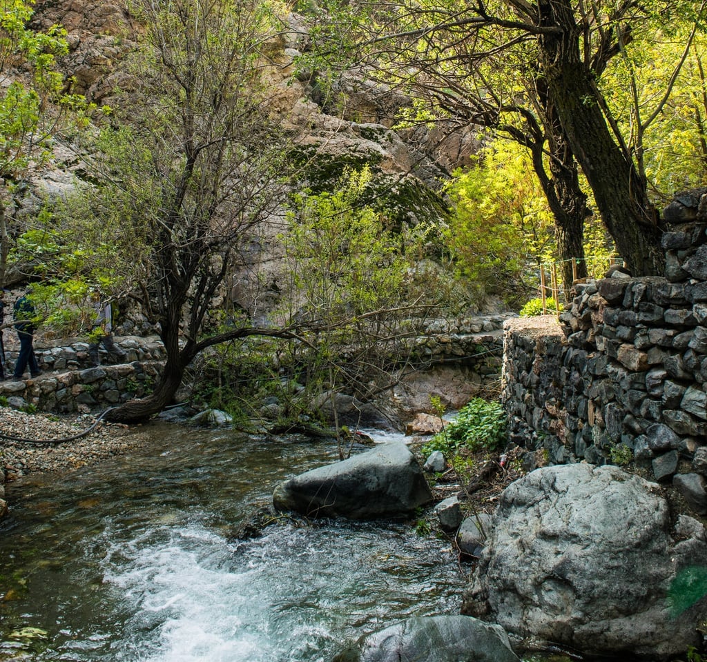 Darake Darakeh Nature