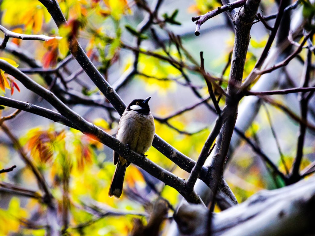Exploring Serene Darakeh: Tehran'S Picturesque Mountain Retreat 2 Darakeh Nature
