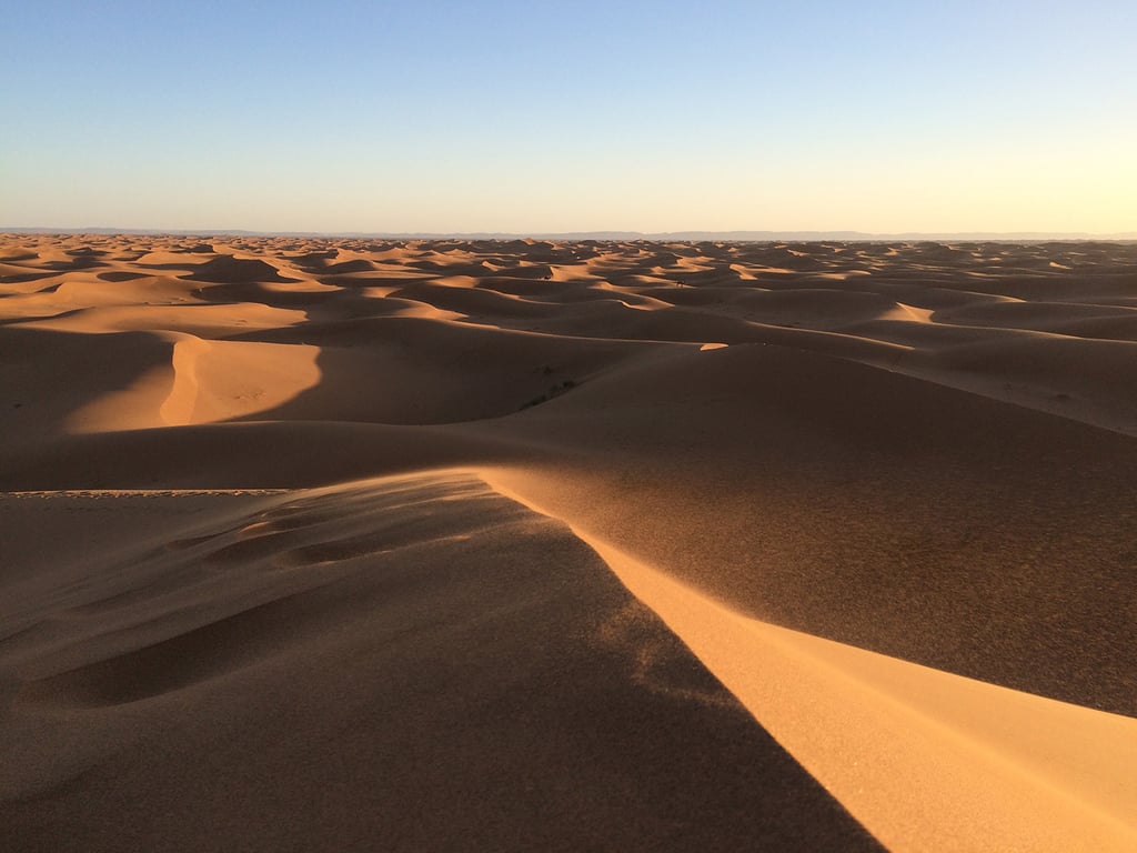 Mesr desert walking experience