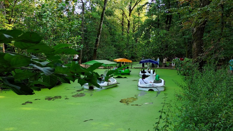 Saravan Forest Park, Rasht