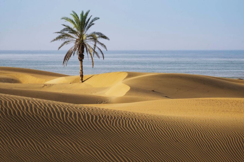 Hidden Gems Of Iran: 10 Off-The-Beaten-Path Destinations 12 Darak Beach ()