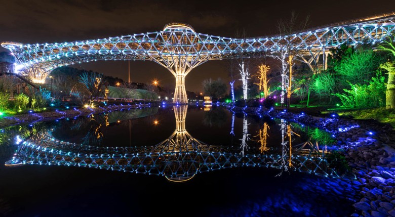 The Beauty Of Nature Bridge At Night