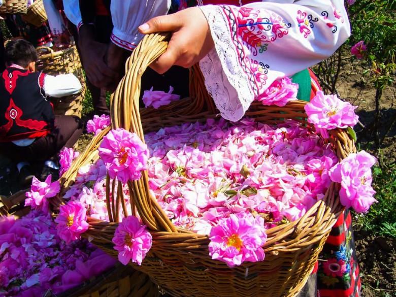 What To See In Kashan: Travel Tips For First-Time Visitors 8 Rose Water Production In Qamsar, Kashan