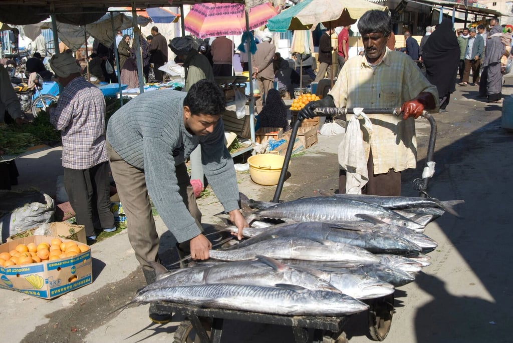 Morning Fish Market In Bandar Abbas