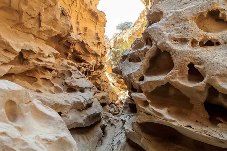 Chahkooh Canyon-Qeshm