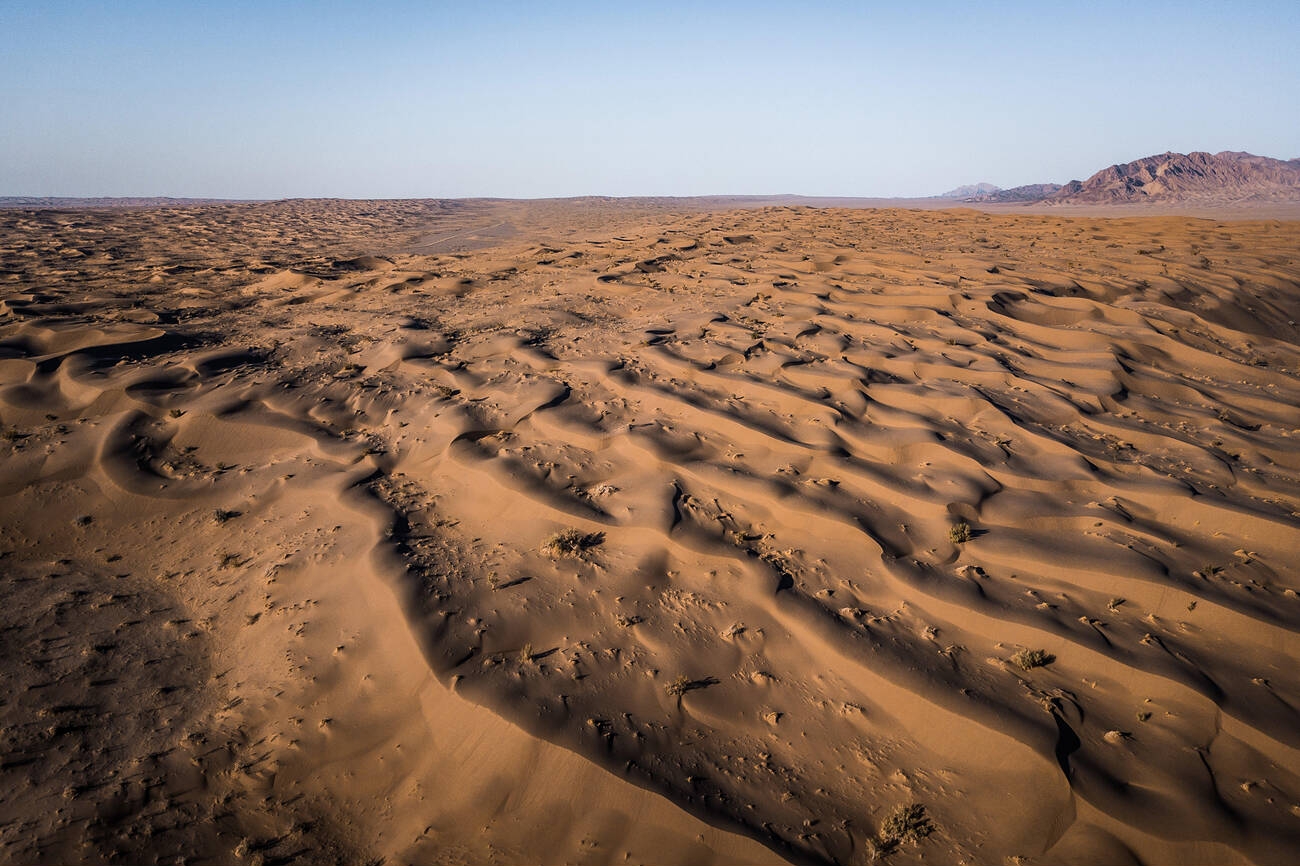 Explore the Mesr Desert with a Local Guide