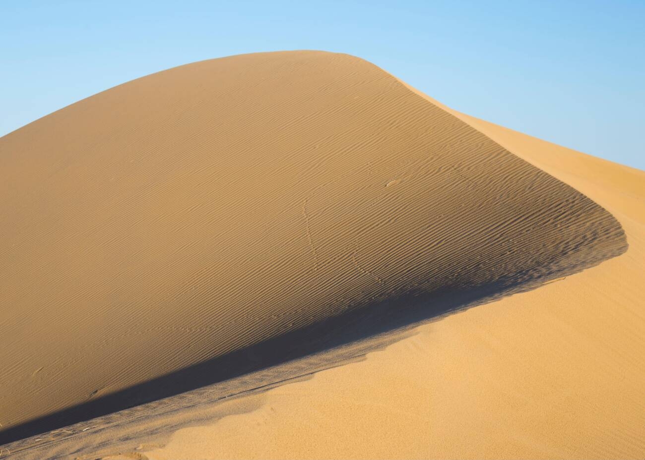 Explore the Mesr Desert with a Local Guide