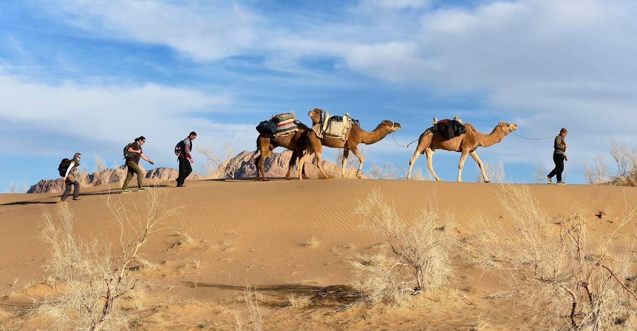 Explore the Mesr Desert with a Local Guide