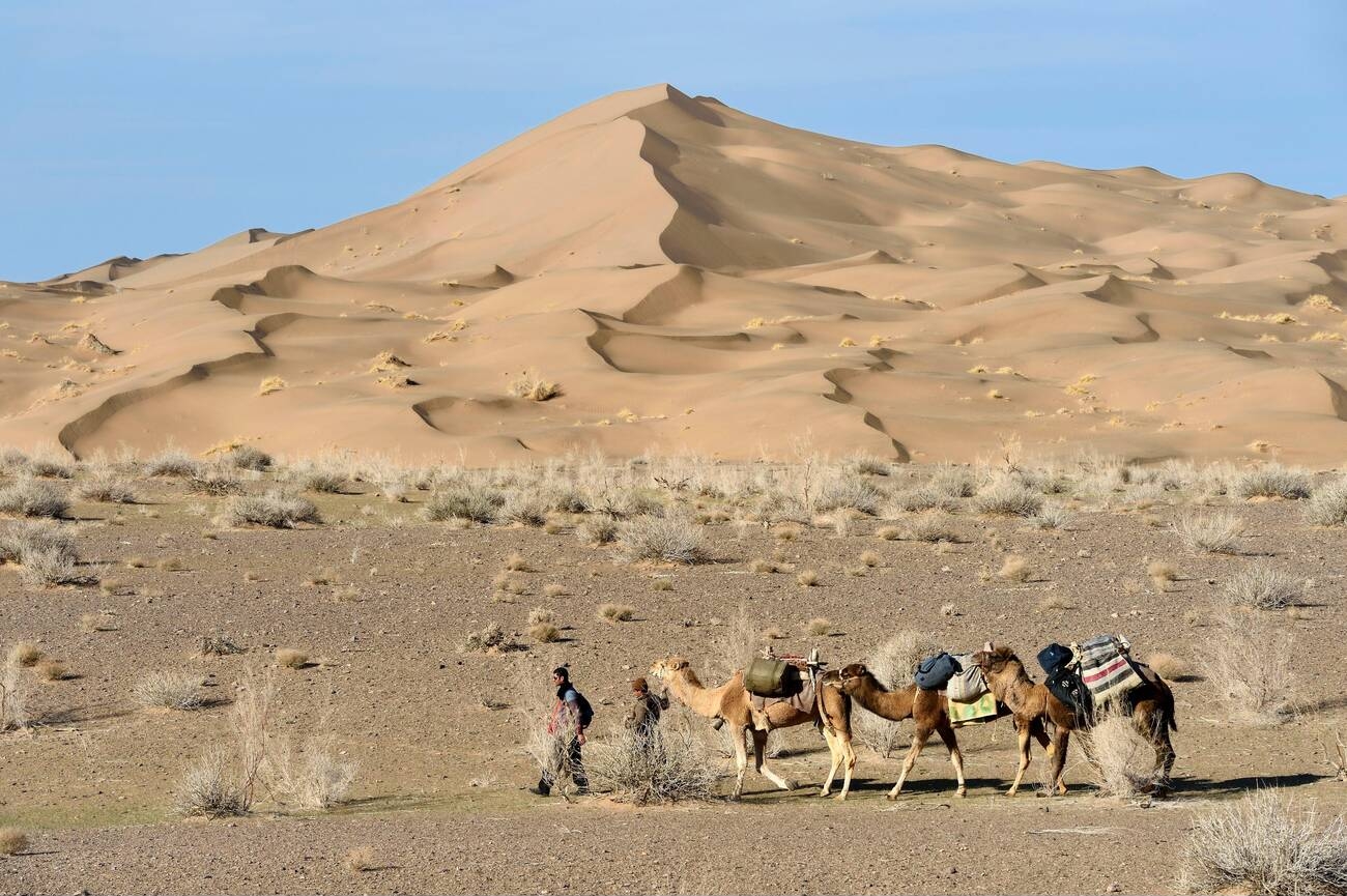 Explore the Mesr Desert with a Local Guide