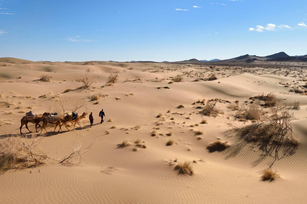 Explore the Mesr Desert with a Local Guide