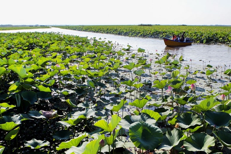 Anzali Lagoon, Gilan