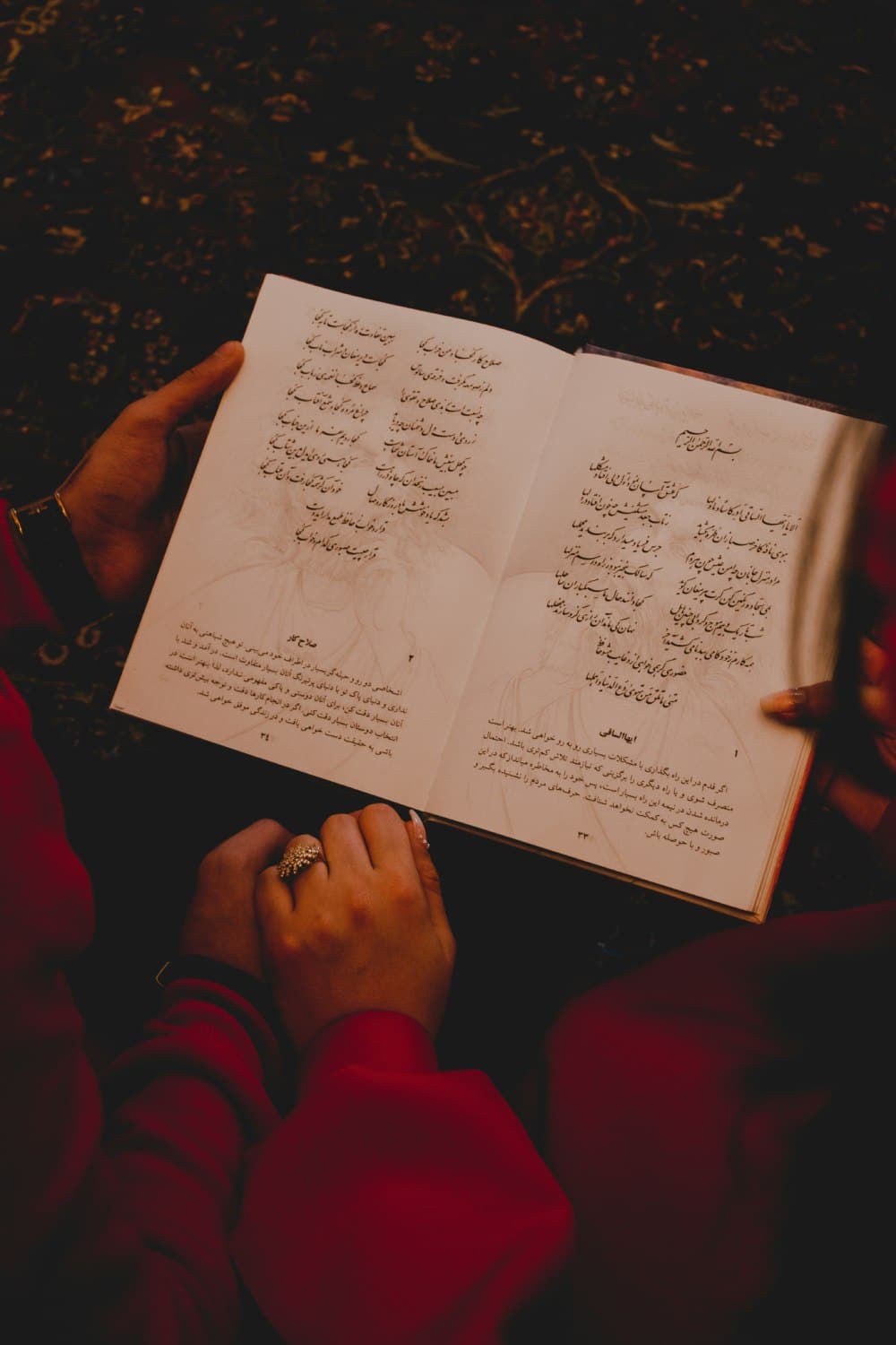 Poet Reading In Yalda Night Photo By Amir Hosseini