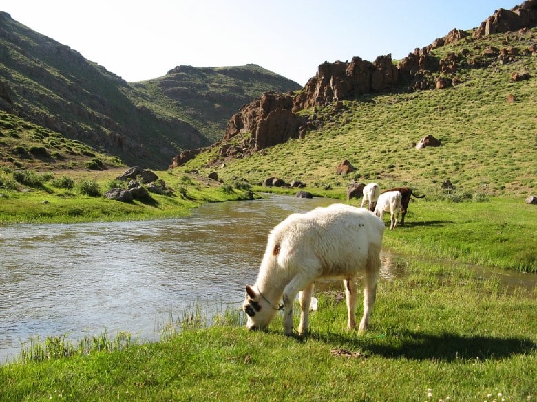 Visiting Ardabil In Spring