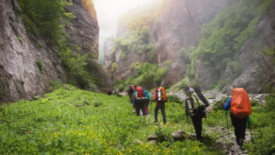 A Group Of The Hiker Is Hiking In The Forested Land They Surrounded By Massive Forested Mountain Iran