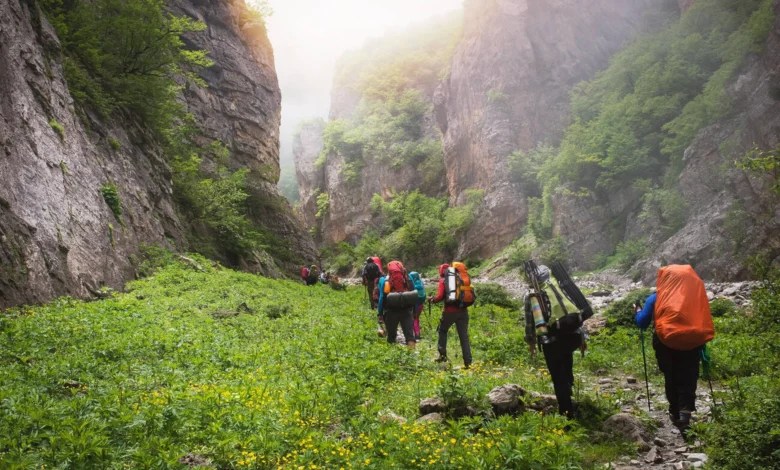 A Group Of The Hiker Is Hiking In The Forested Land They Surrounded By Massive Forested Mountain Iran