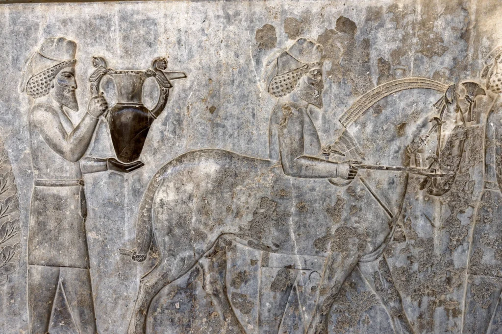 Armenians Bringing Wine To The King Persepolis, Iran