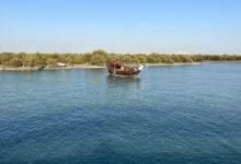 Hara Mangrove Forest Protected Area