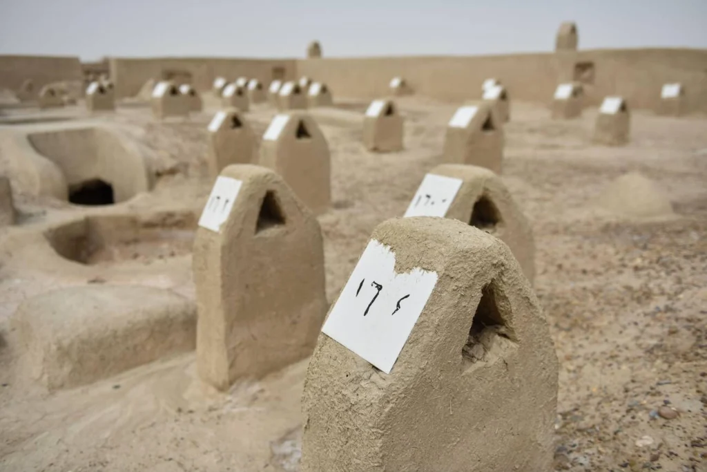Ancient Echoes Of Shahr E Sukhteh