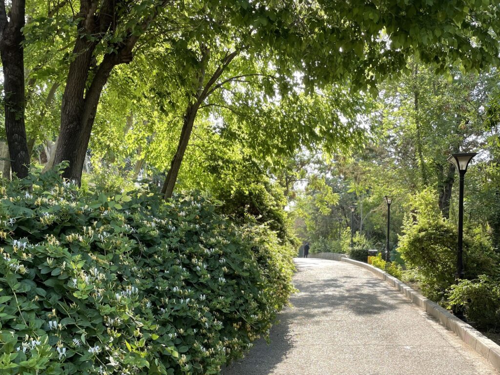 Behesht Madaran Park