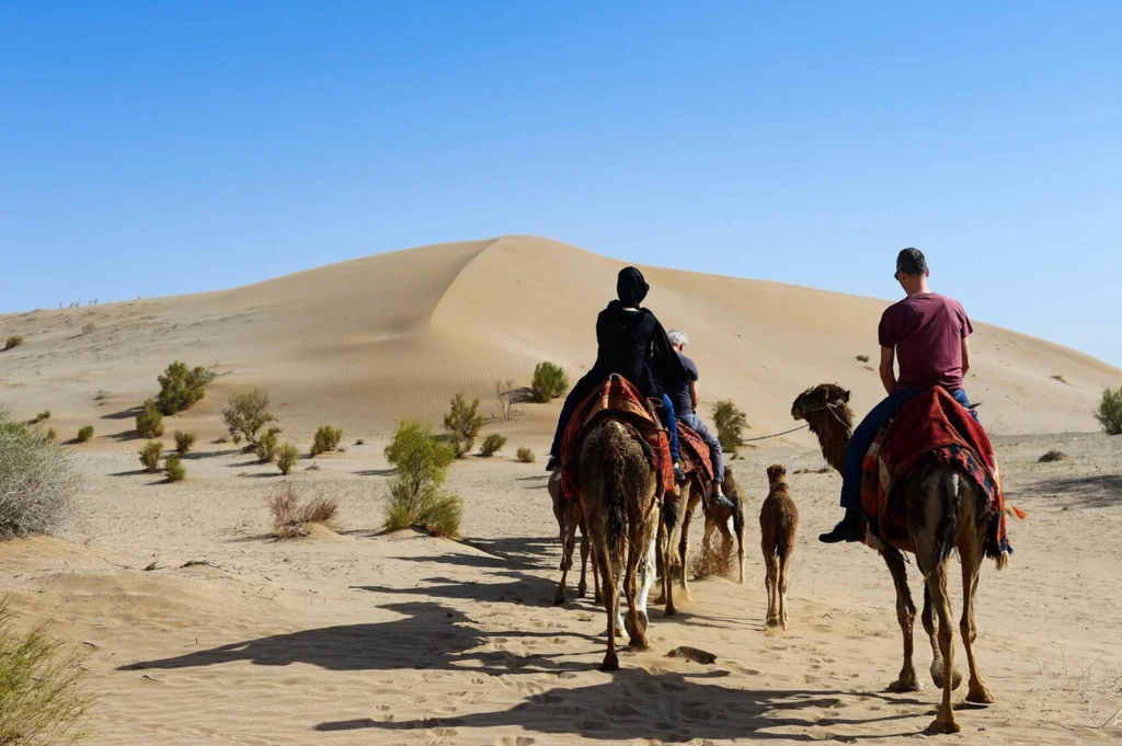 Camel Caravan In The Desert