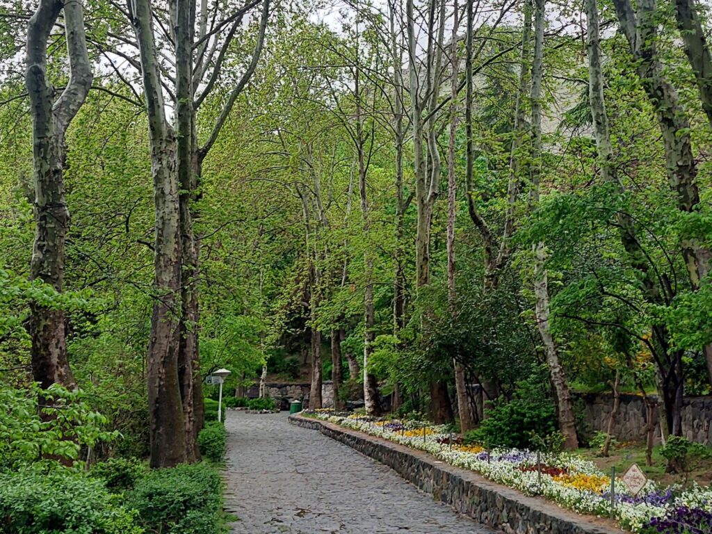 Jamshidieh Park