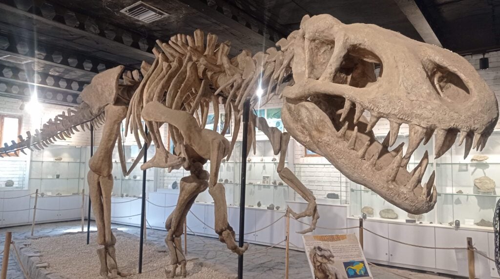 Jurassic Park Mashhad Museum