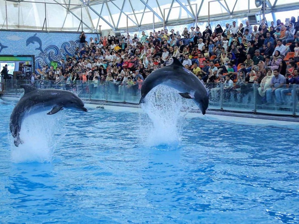 Kish Aquarium
