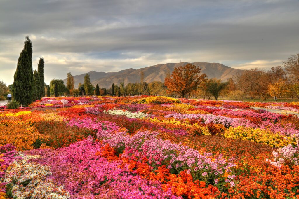 National Botanical Garden