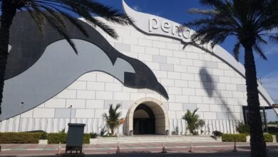 Penguin Snow Park