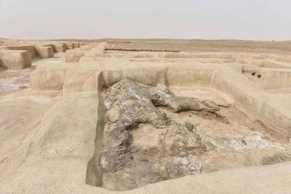Shahr E Sukhteh The Burnt City Of Ancient Iran