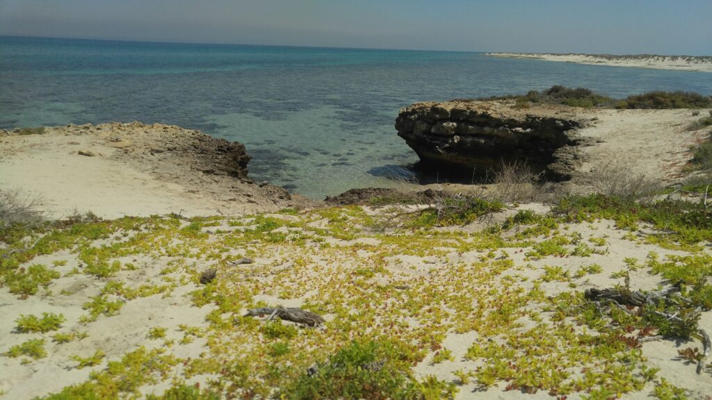 Shidvar Island