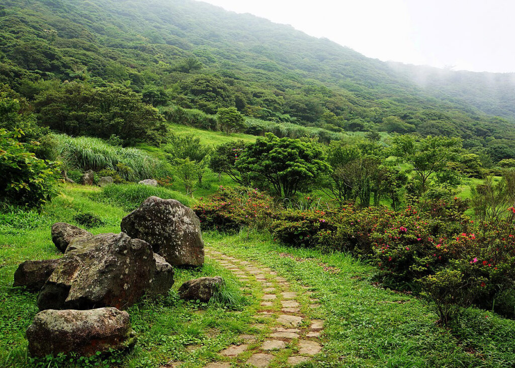 Siadaran Forest Park