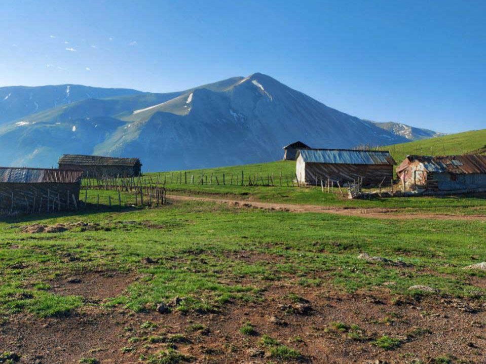 Talesh