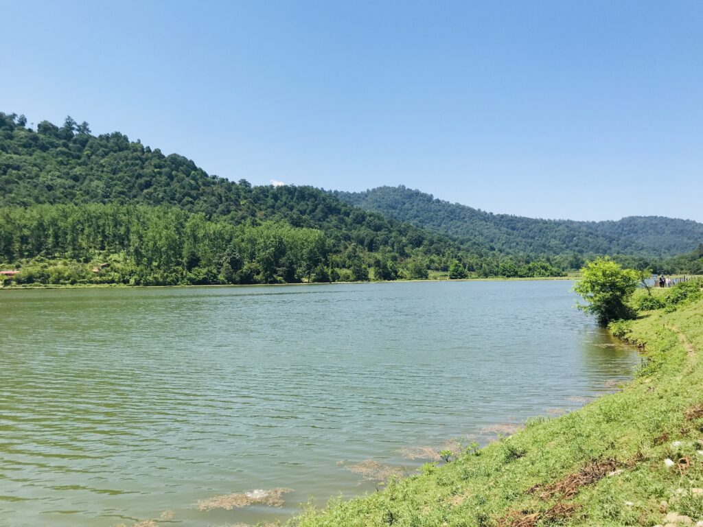 Talesh