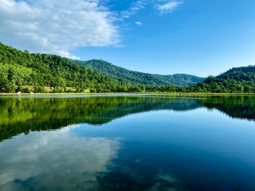 Talesh