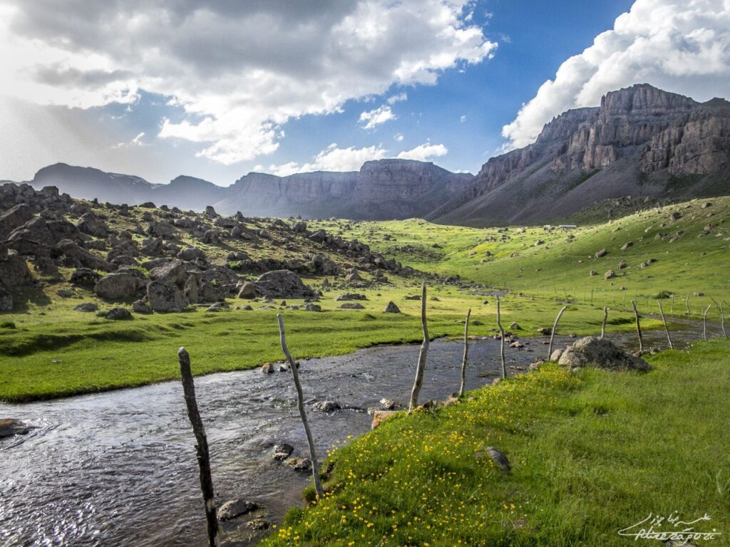 Talesh
