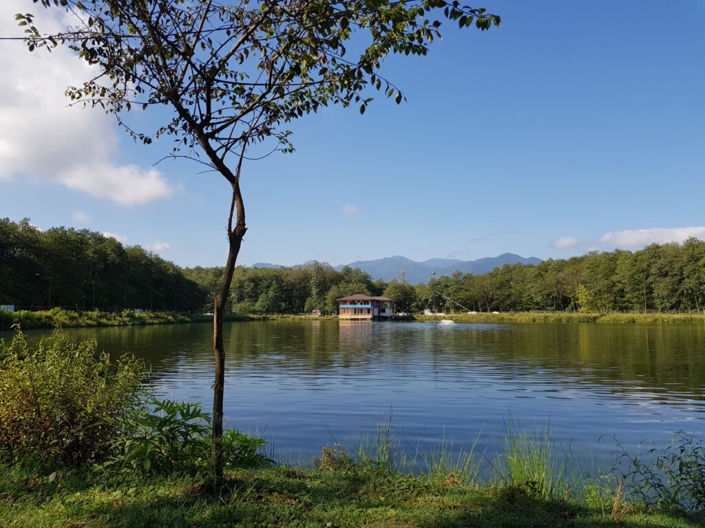 Talesh